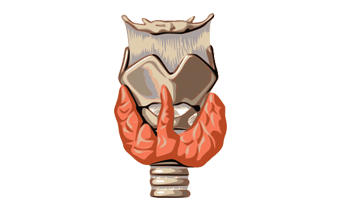 Hyper Thyroidism Homeopathy Treatment Hyper Thyroidism Homeopathy Treatment